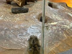 -秦皇岛新澳海底世界