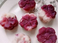 -葱妈母婴医护月嫂中心(浦东店)