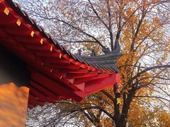 -哈尔滨极乐寺