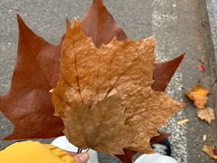 -好利来(新华百货店)