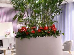 -LANN I 蘭 SPA(陆家嘴中心店)