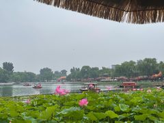 -小王府(什刹海店)