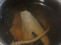党参北芪炖乳鸽汤-香港仔茶餐厅(凤阳店)