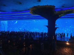 -横琴湾水世界