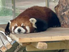 -水上乐园·欢乐世界