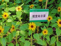 -长春农博园