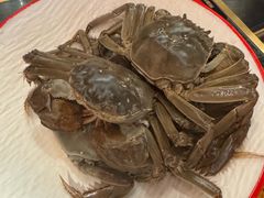 -牛New寿喜烧(金鹰世界店)