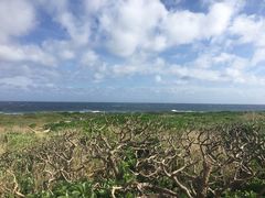 -龙坑生态保护区