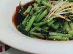 白芍菜心-添福来墨鱼饺子 · 海鲜东北菜(泡崖店)