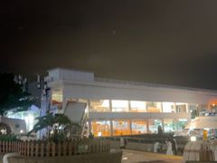 -Big Bus Tours 敞篷观光巴士