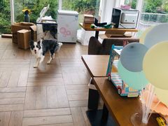 -汪说喵讲宠物乐园宠物酒店(红星美凯龙店)