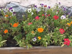 -野三坡清泉山风景区