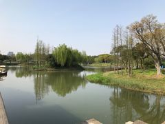-尚贤河湿地