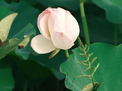 -梁鸿国家湿地公园