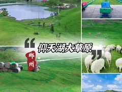 -仰天湖大草原