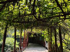 -清江方山景区