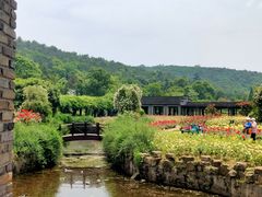 -龙寺生态园
