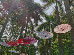 -华南国家植物园-售票处