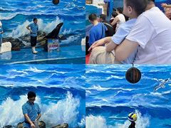 -左海海底世界