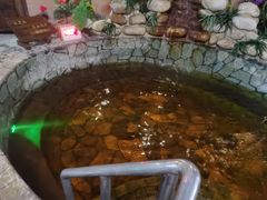 -泉城欧乐堡戏水湾艺术养生温泉