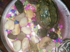 -大地影院(德清余英坊店)