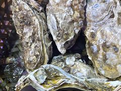 -蚝堡海鲜·威海菜·海肠捞饭·烧烤·亚洲吃蚝公司(幸福门店)