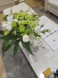 -HEYAN长风荷妍专业脱毛美肤
