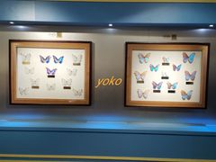 -上海昆虫博物馆