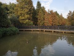 -海珠湖公园