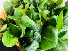 -新草堂锅物料理(泉城路店)