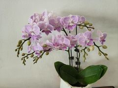 -北平花园·潮玩萌牙·北平咖啡(南锣鼓巷胡同店)