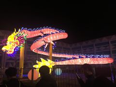 -锦江乐园舞狸花花游园会(夜场专享)