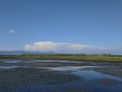 -野鸭湖国家湿地公园