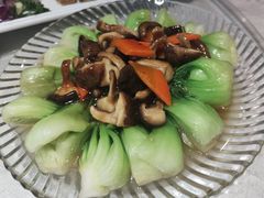 -金龙寨(龙城路店)