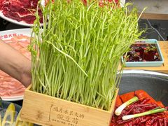 -巴蜀大将火锅(春熙店)