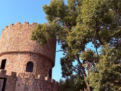 -J Create城市露营咖啡·简餐·宠物(上海动物园店)