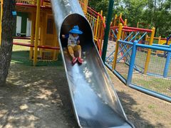 -上海海湾国家森林公园