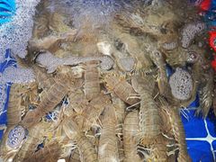 -滨海小渔村·海肠捞饭·鲅鱼水饺·特色老火鱼丸汤(华田店)