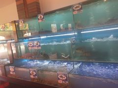 水产区-南海渔家•海鲜•正宗海南菜(海棠湾店)