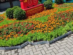 -大兴滨河森林公园