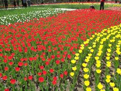 -长春公园(普阳街道)