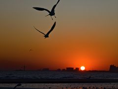 -老虎石海上公园