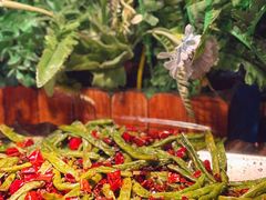 -聚盛源蒸汽海鲜火锅烤肉自助(巨川金海岸购物广场店)