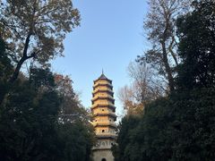 -灵谷景区