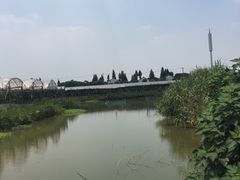 -马陆小张葡萄园农家乐