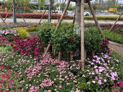 -春花秋色城市公园