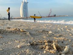 -迪拜帆船酒店海底餐厅