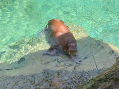 -珠海长隆海洋王国