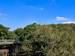 -合肥野生动物园