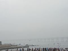 -星海湾跨海大桥